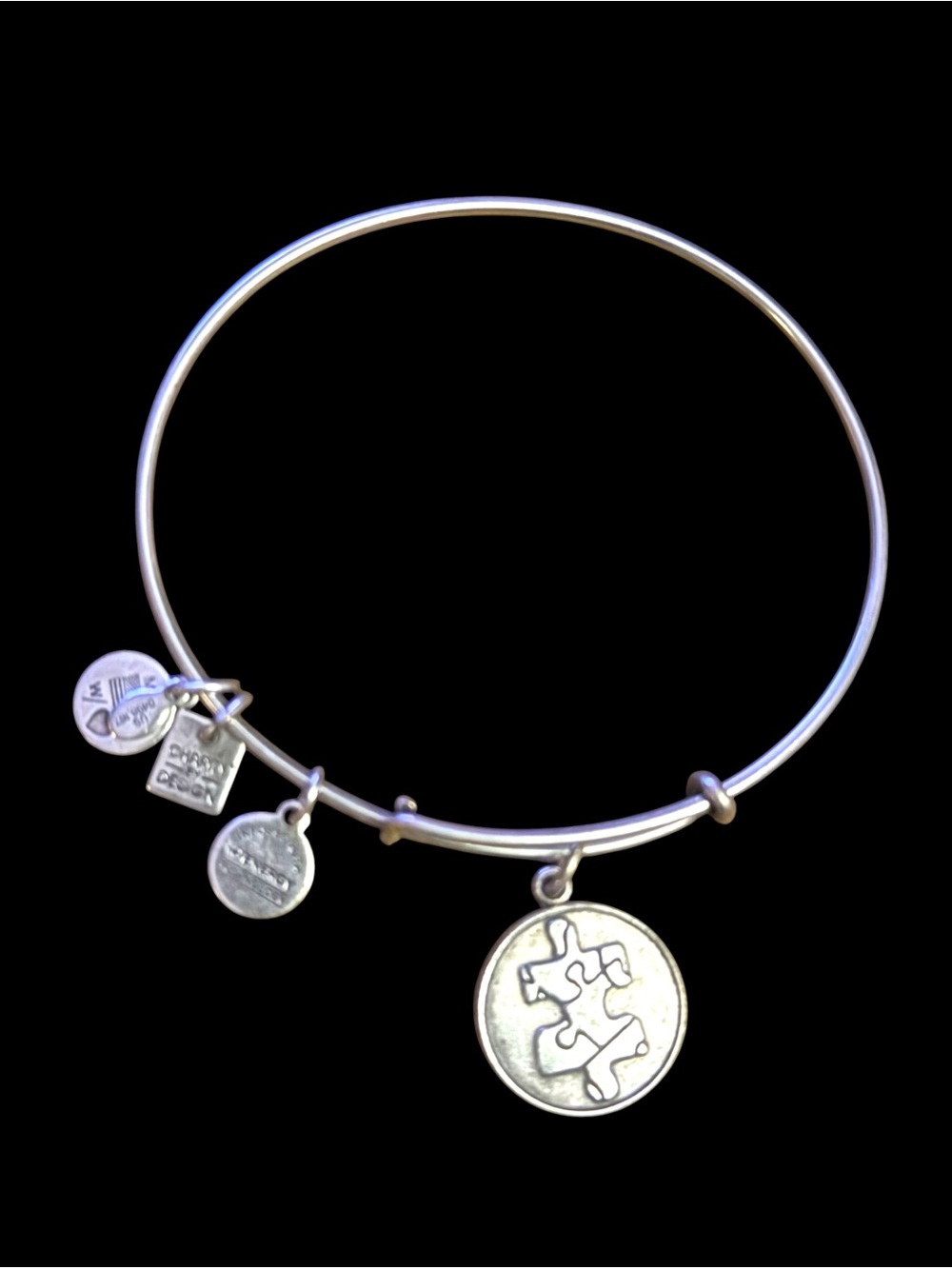 Alex and Ani Rafaelian silver Autism Awareness expandable charm bangle bracelet
